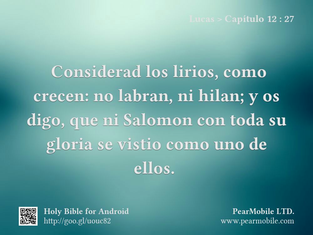 Lucas, Capítulo 12:27